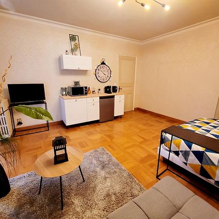 Superbe Appartement Calme Et Spacieux Graulhet Ngoại thất bức ảnh
